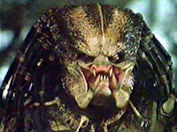 predator1