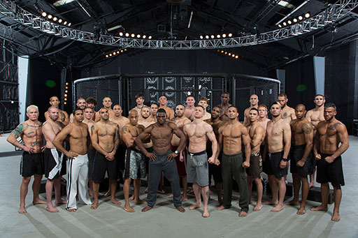 Fight Master: Bellator MMA