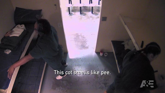CotSmellPee