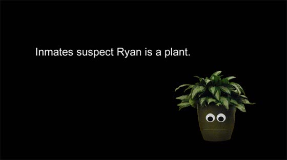 RyanPlant